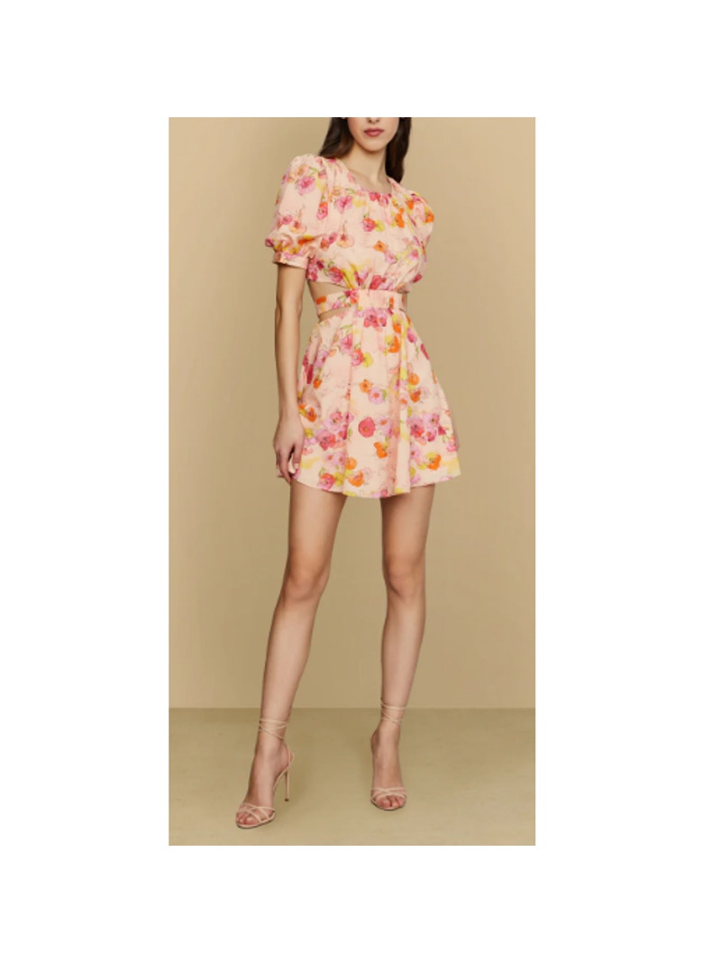 Amur Women's Flowers In Cloud Short Sleeves Jewel Neck Cole Cutout Dress Size 4